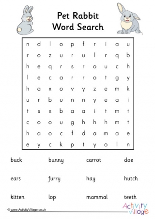 Pet Rabbit Word Search