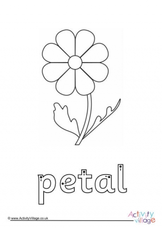 Petal Finger Tracing