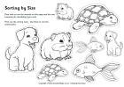 Learning Size Activities