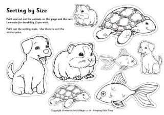 Pets Sorting Big and Small