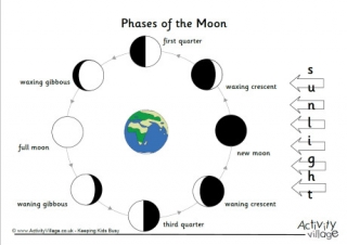 Phases Of The Moon Poster