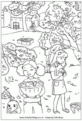 Picking Apples Colouring Page