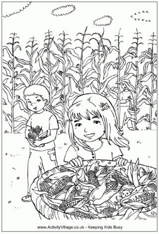 Picking Corn Colouring Page