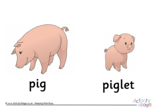 Pig and Piglet Poster