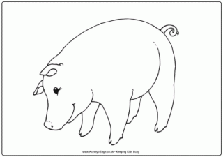 Pig Colouring Page 3