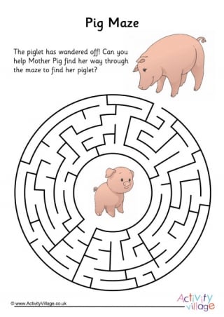 Pig Maze 3