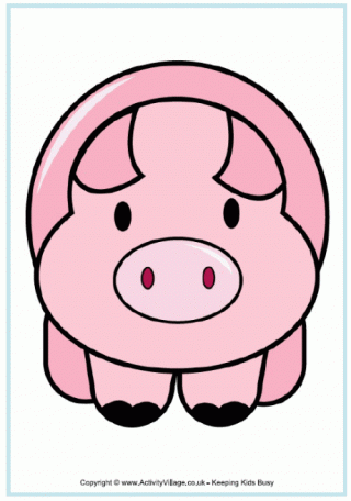 Pig Poster