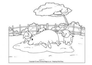 Pig scene colouring page