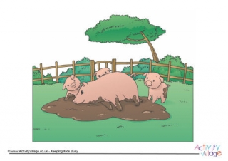 Pig Scene Poster