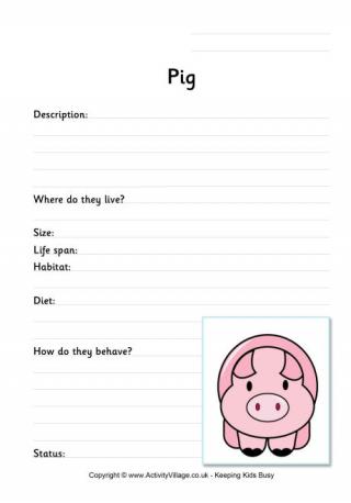 Pig worksheet