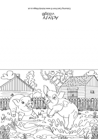 Pigs Scene Colouring Card