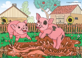 Pigs Scene Poster