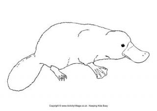 Platypus Colouring Page