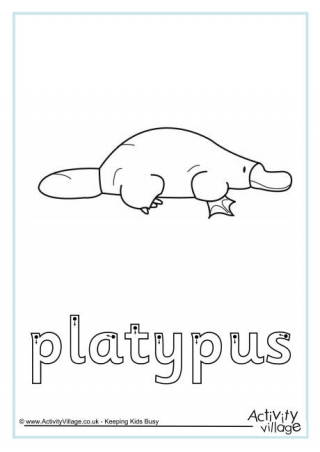 Platypus Finger Tracing