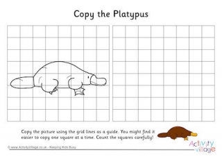 Platypus Grid Copy