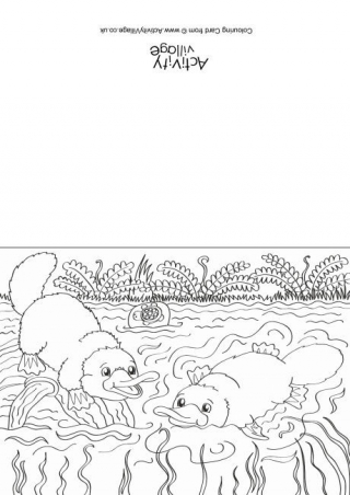 Platypus Scene Colouring Card