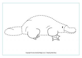 Platypus Tracing Page