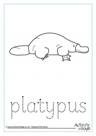 Platypus Finger Tracing