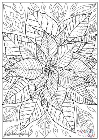 Poinsettia Colouring Page 1