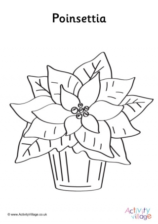 Poinsettia Colouring Page 2