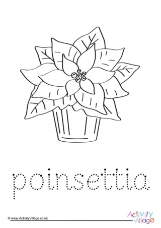 Poinsettia Word Tracing