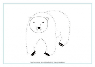 Polar Bear Tracing Page