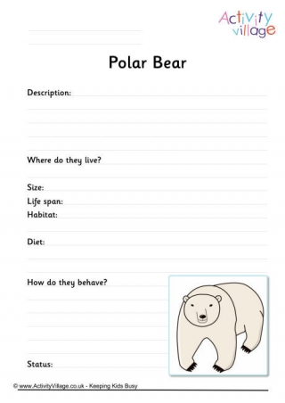 Polar Bear Worksheet