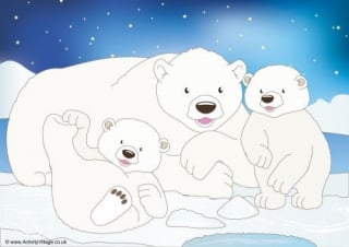 Polar Bears Scene Poster