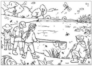 Pond Dipping Colouring Page