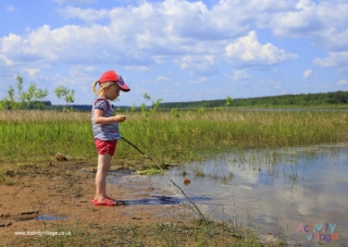 Pond Dipping Poster