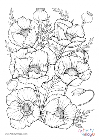 Poppies Colouring Page