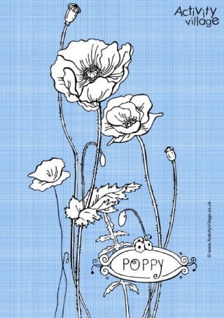 Poppy Colouring Page 3
