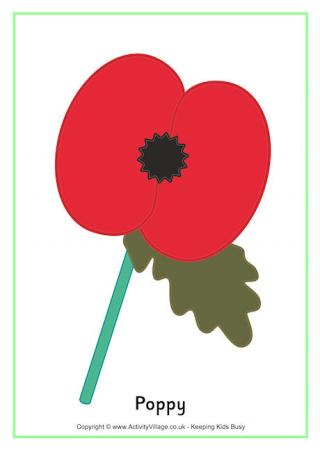 Poppy Poster