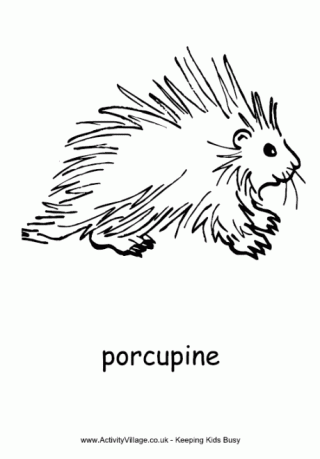 Porcupine Colouring Page