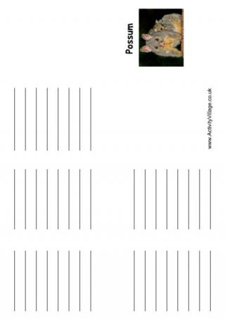 Possum Booklet