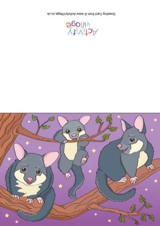 Possum Scene Card
