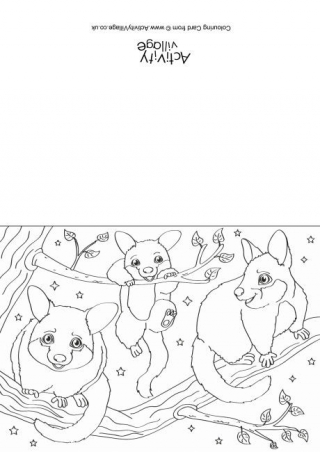 Possum Scene Colouring Card