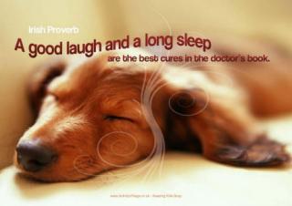Poster - A Good Laugh