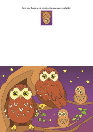 Owl Scene Card