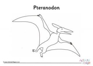 Pteranodon Colouring Page