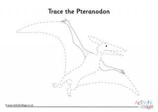 Pteranodon Tracing Page