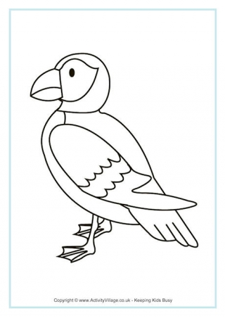 Puffin Colouring Page