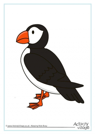 Puffin Poster