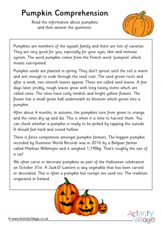 Pumpkin comprehension