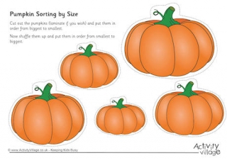 Pumpkin Sorting by Size