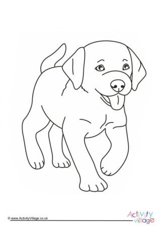 Puppy Colouring Page 4