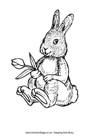 Rabbit and Tulip Colouring Page