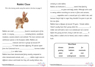 Rabbit Cloze