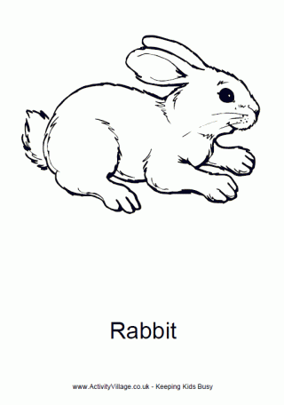 Rabbit Colouring Page 4