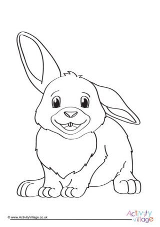 Rabbit Colouring Page 6